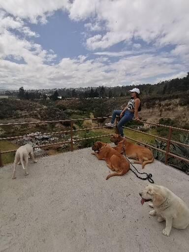 Fakali Homestay Quito Ngoại thất bức ảnh