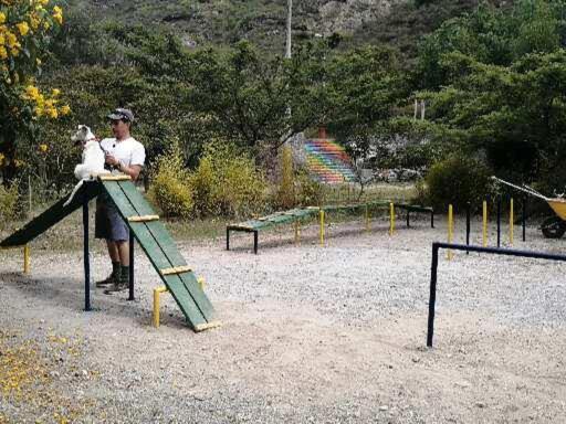 Fakali Homestay Quito Ngoại thất bức ảnh